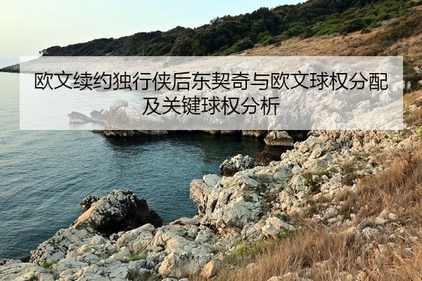 欧文续约独行侠后东契奇与欧文球权分配及关键球权分析