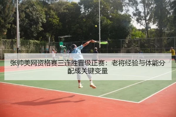 zhang-shuai-mei-wang-zi-ge-sai-san-lian-sheng-jin-ji-zheng-sai-lao-jiang-jing-yan-yu-ti-neng-fen-pei-cheng-guan-jian-3-712.jpg